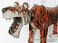 tiger-Sher-Khan-wood-marionette-ru091q|marionettes-puppets.com|Gallery-Czech-Puppets-and-Marionettes