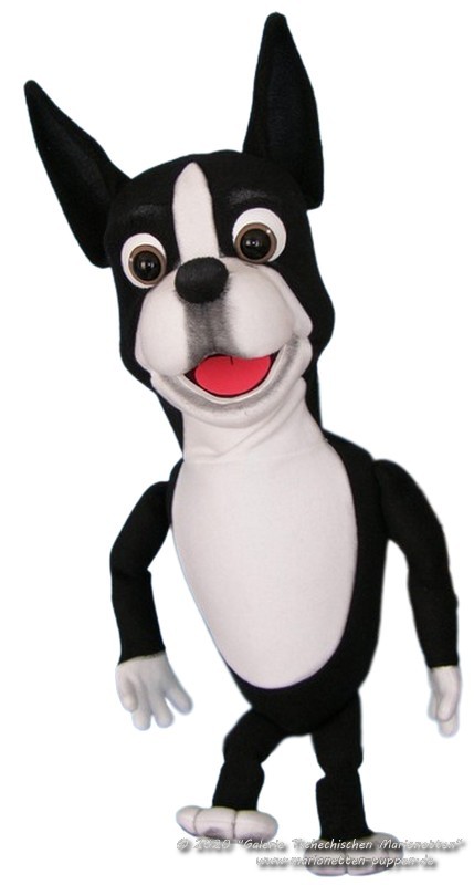 Dog Boston foam puppet