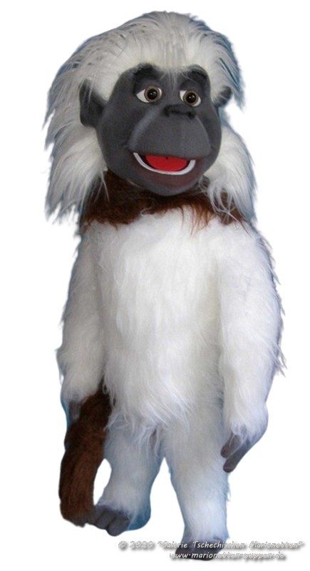 Tamarin foam puppet