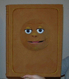Book foam puppet