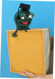 Book with bookworm foam puppet