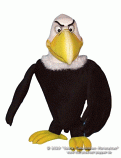 Carrion-crow foam puppet                                         