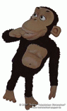 Chimpanzee foam puppet               